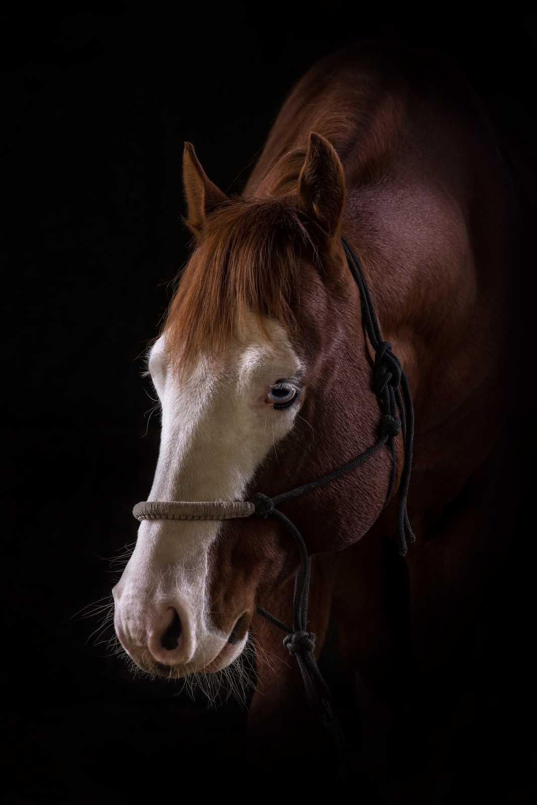 _DSC0818_web