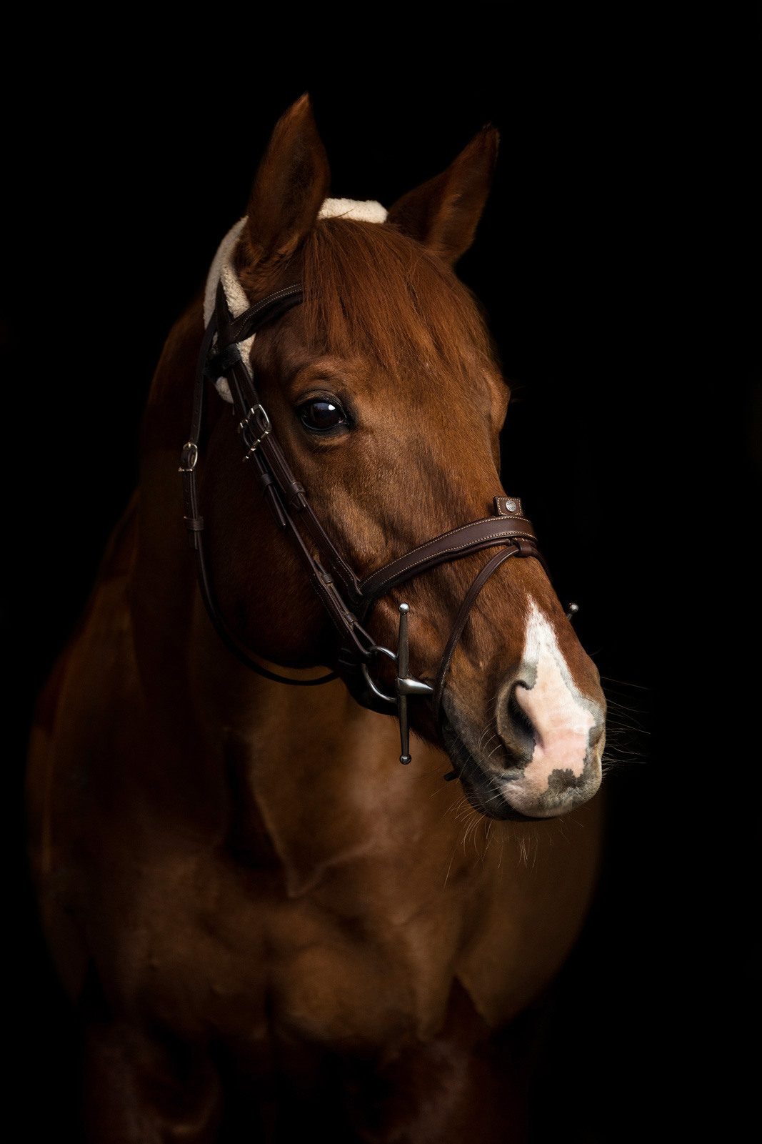 _DSC1736-Edit_web