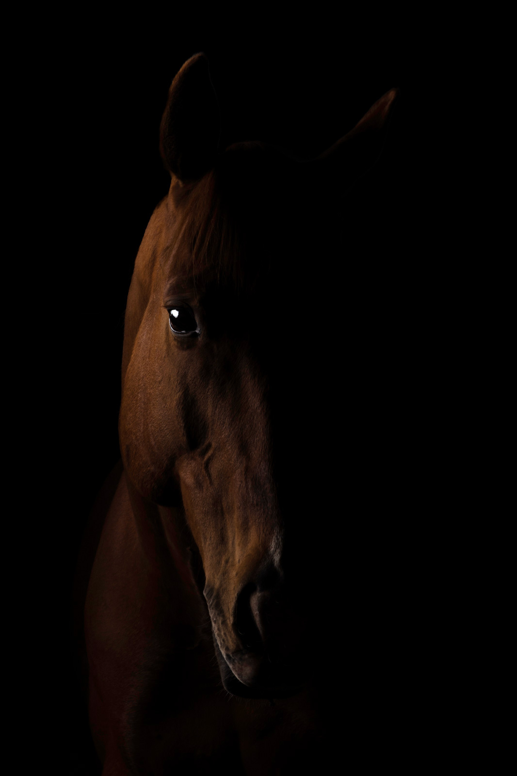DSC_8587_srgb_web