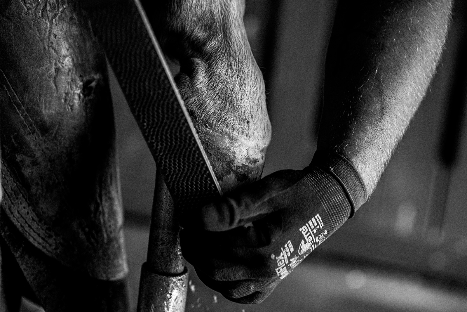 ló patkó patkolás művészi fekete fehér