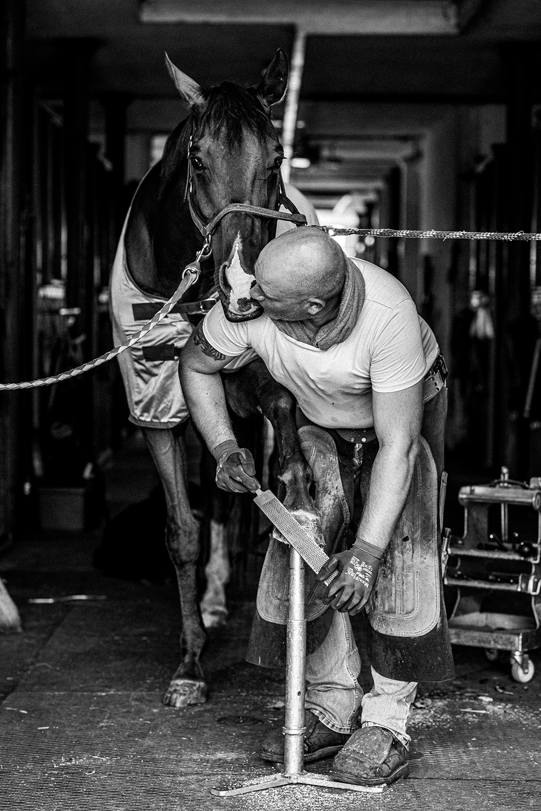 ló patkó patkolás művészi fekete fehér