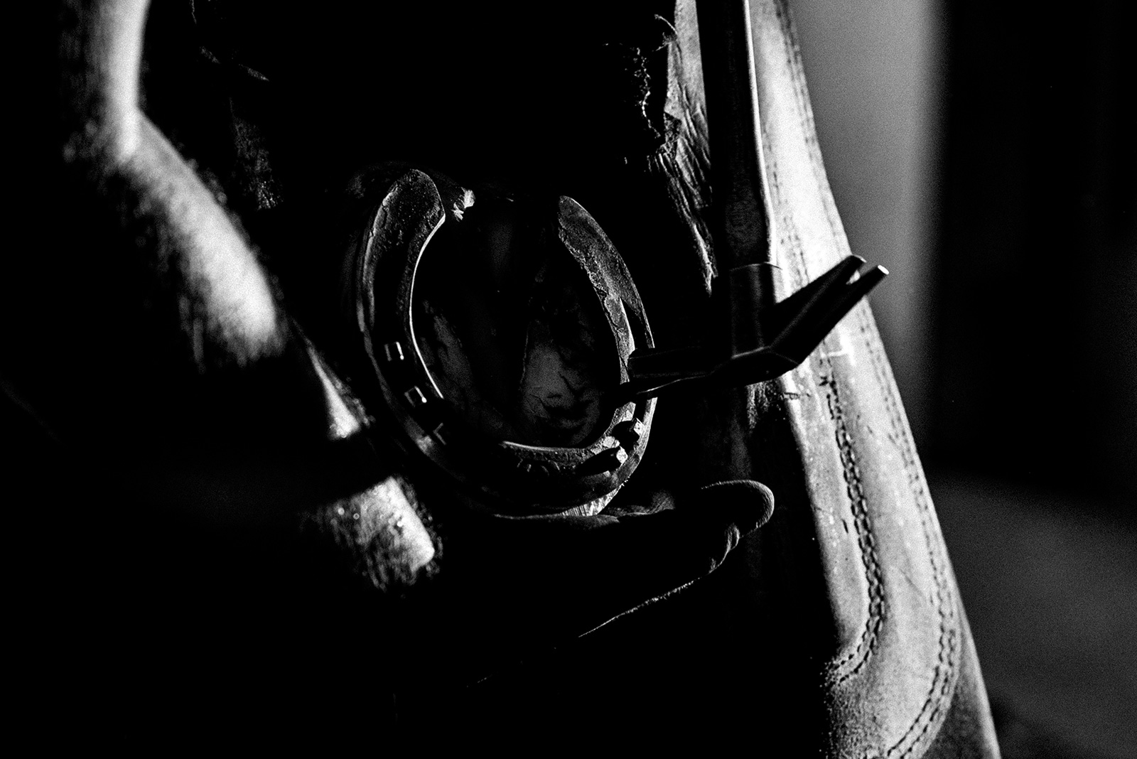 ló patkó patkolás művészi fekete fehér