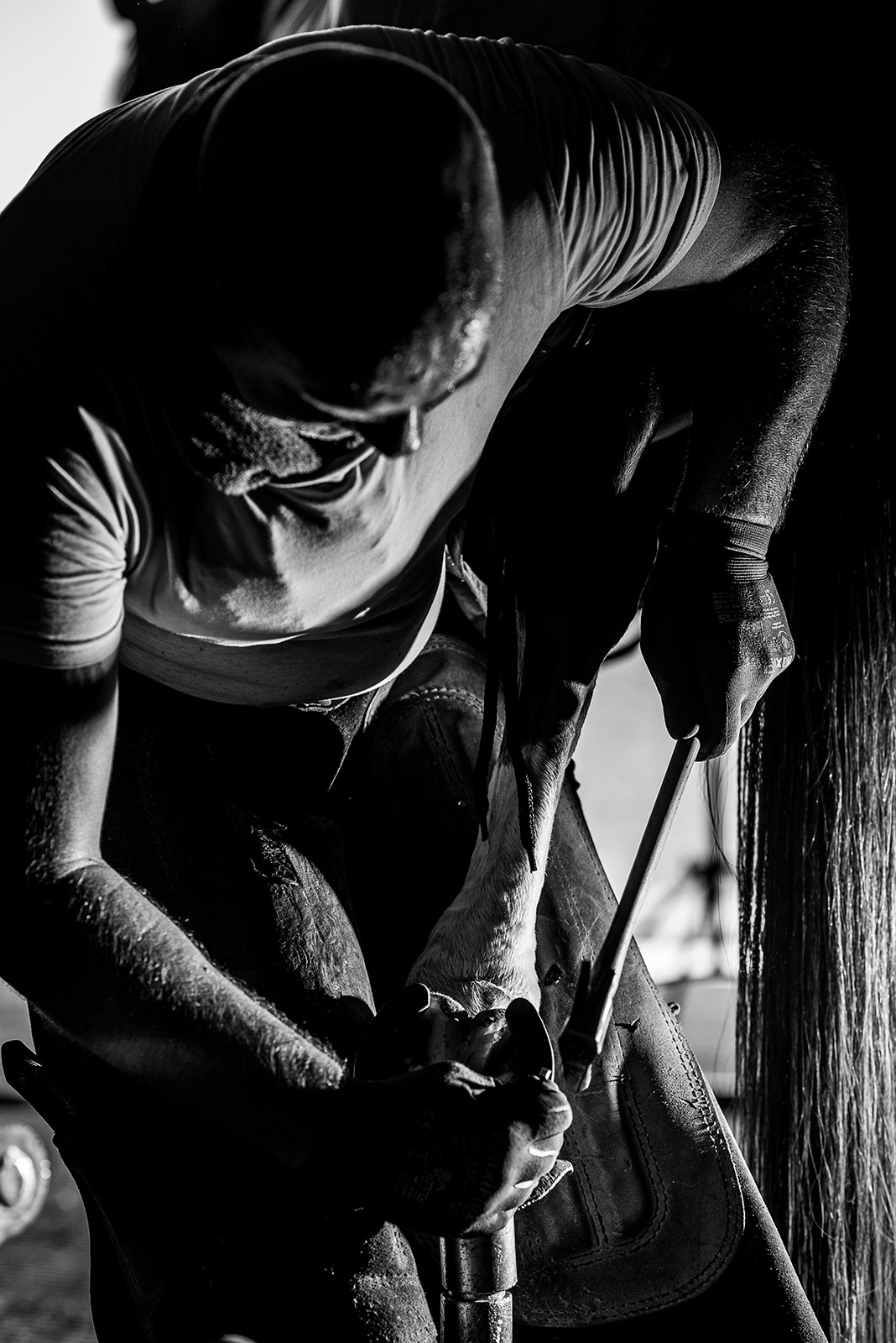 ló patkó patkolás művészi fekete fehér