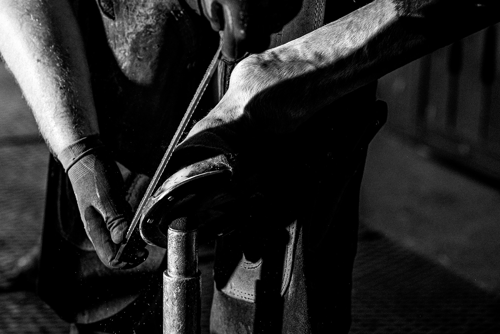 ló patkó patkolás művészi fekete fehér