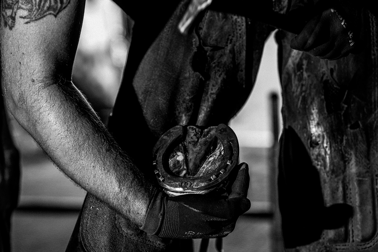 ló patkó patkolás művészi fekete fehér