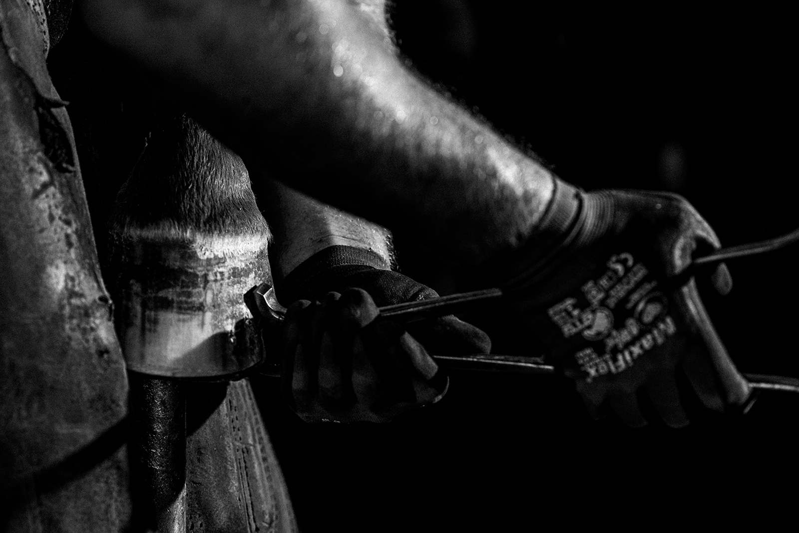 ló patkó patkolás művészi fekete fehér