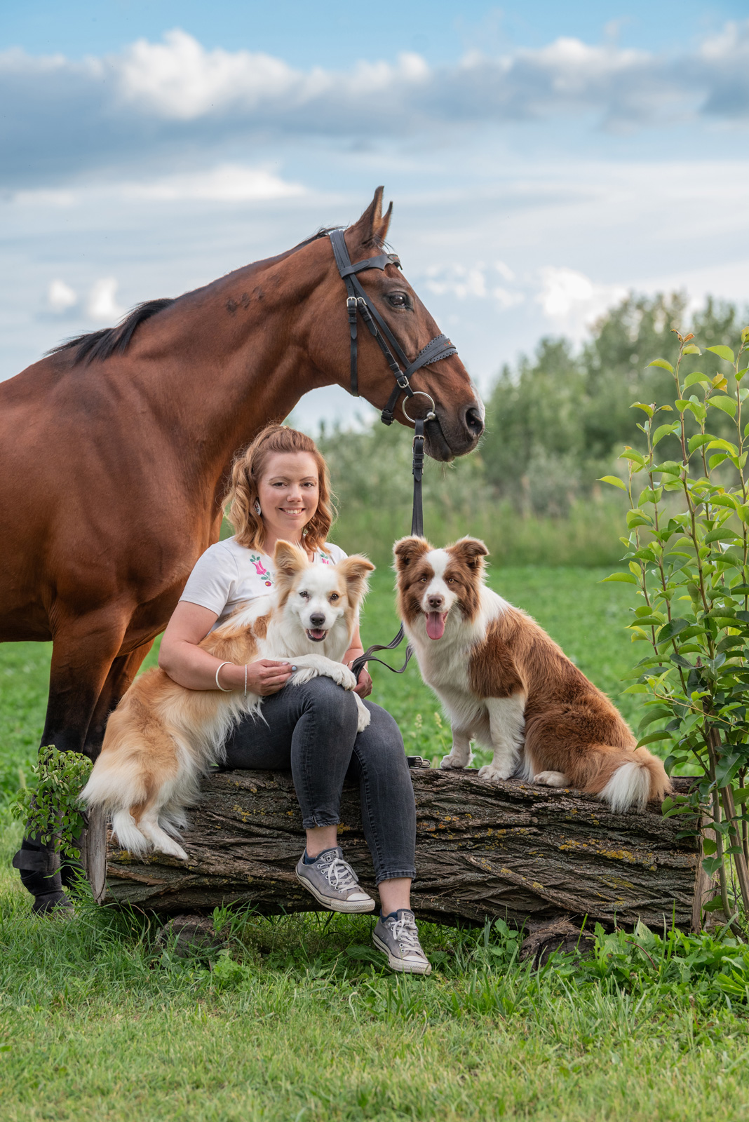 Zsóka4 fiatal csinos lány ló bensőséges hangulat szeretet magyar kalocsai hímzés border collie kutya kutyák