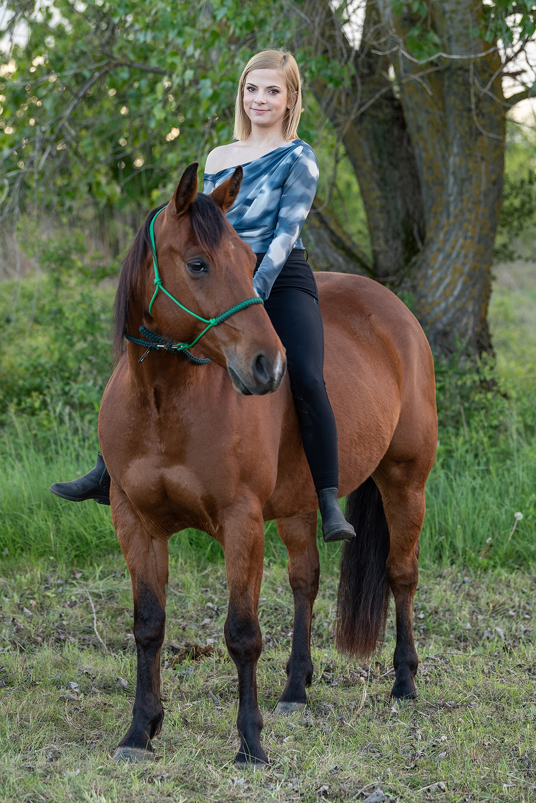 lovas élményfotózás pej ló mező naplemente szőke csinos lány